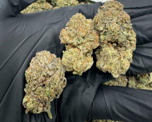 Platinum Puff Light Dep Cannabis Redding 420 Marijuana Delivery