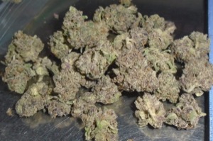 Biscotti Indoor Cannabis Redding 420 Marijuana Delivery Service