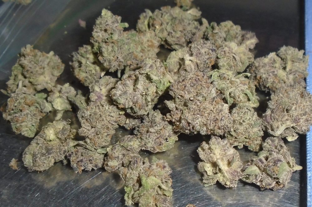 Biscotti Indoor Cannabis Redding 420 Marijuana Delivery Service