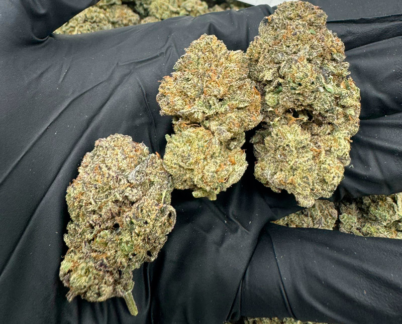 Platinum Puff Light Dep Cannabis 