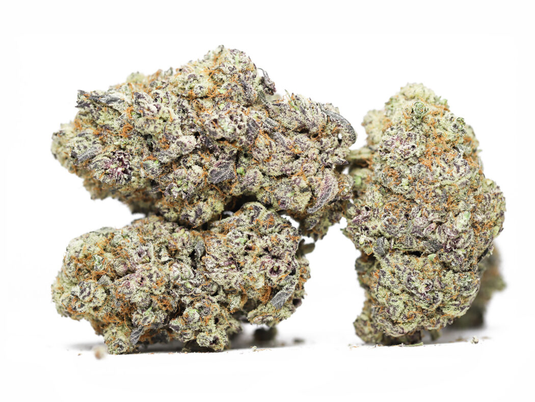 Nick's Purple Starburst Indoor Cannabis